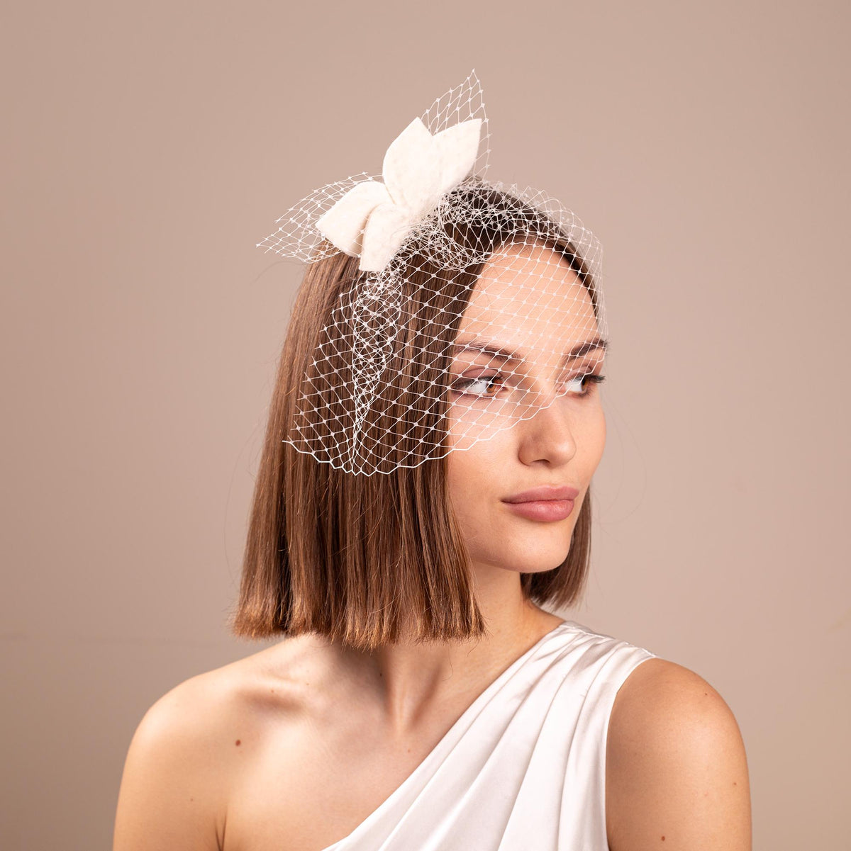Ivory Petals on short Veil, Bridal Birdcage Fascinator for Civil Ceremony, Courthouse Wedding