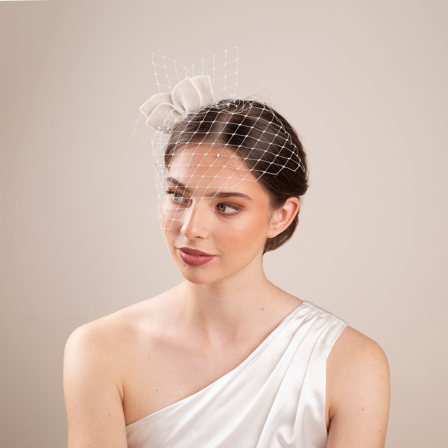 Leaves Felt Fascinator Birdcage Veil: Civil Ceremony Headpiece