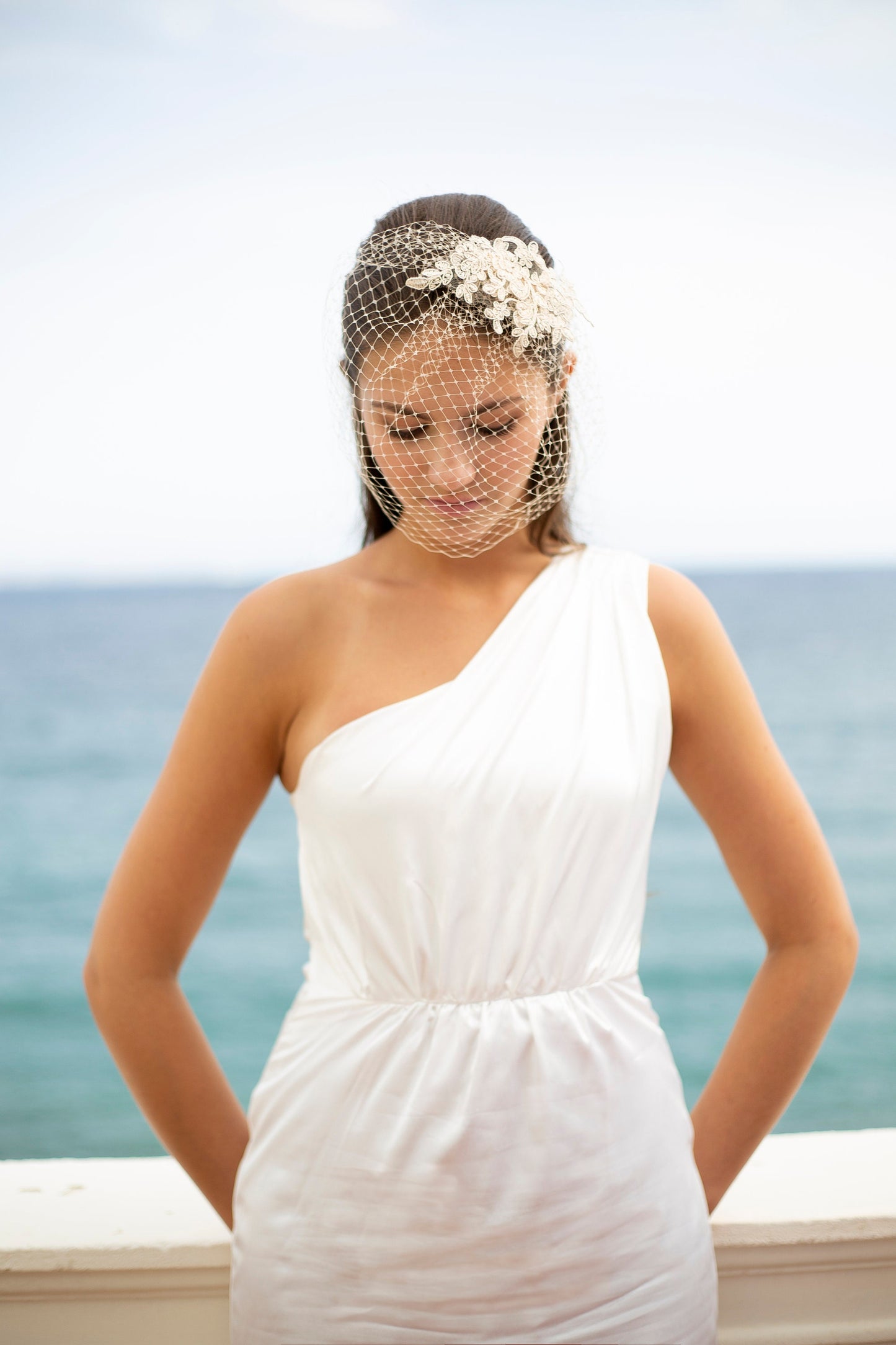 Hellbeiger Spitzen-Vogelkäfigschleier, Braut-Vogelkäfigschleier mit floralem Spitzen-Haarschmuck, Brautschleier mit Spitzen-Haarschmuck in Nude, französischer Vogelkäfigschleier in Nude