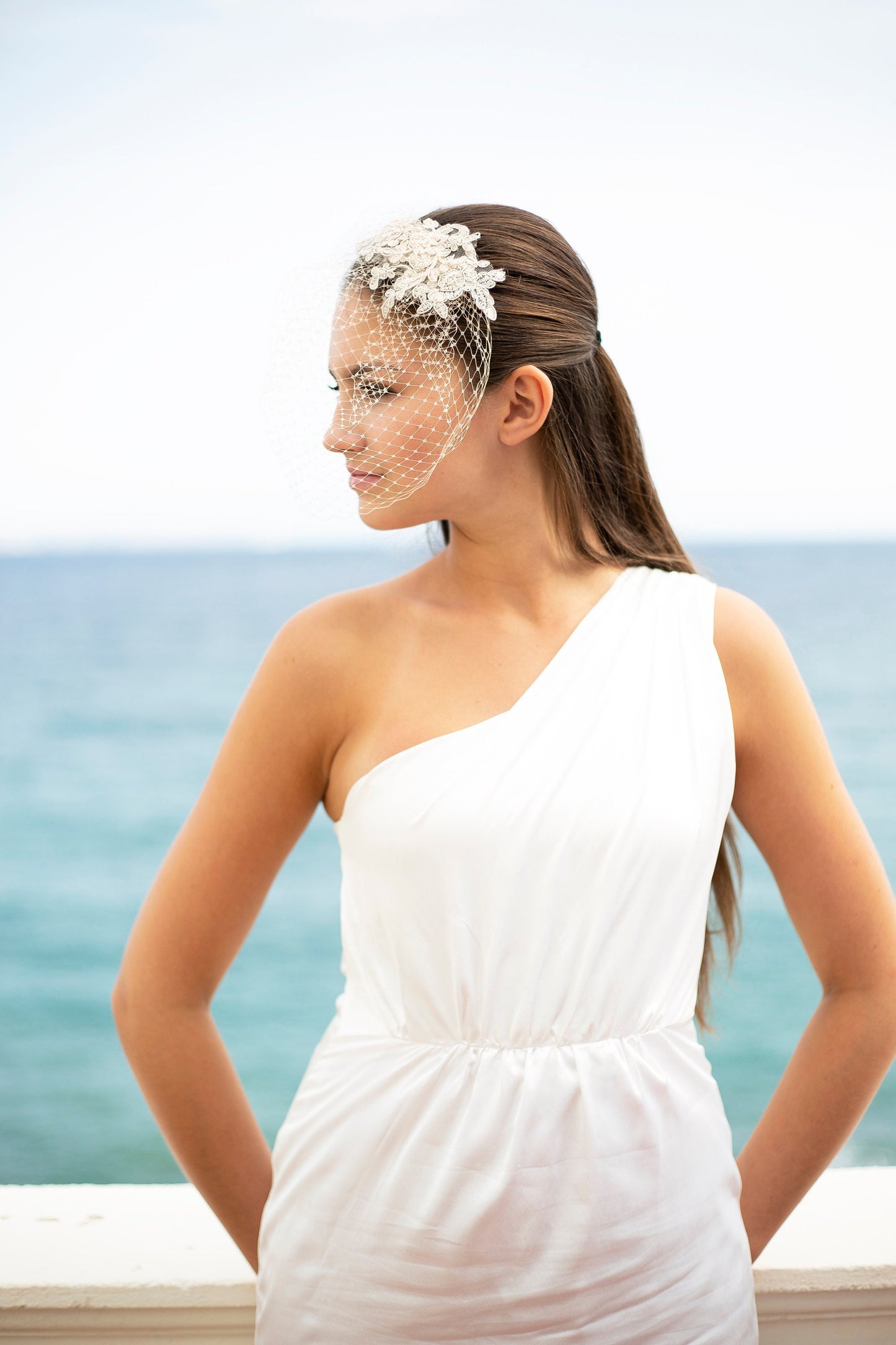 Hellbeiger Spitzen-Vogelkäfigschleier, Braut-Vogelkäfigschleier mit floralem Spitzen-Haarschmuck, Brautschleier mit Spitzen-Haarschmuck in Nude, französischer Vogelkäfigschleier in Nude