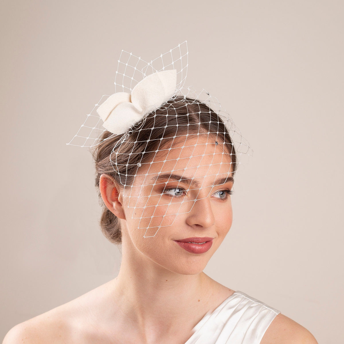 Leaves Felt Fascinator Birdcage Veil: Civil Ceremony Headpiece with petals