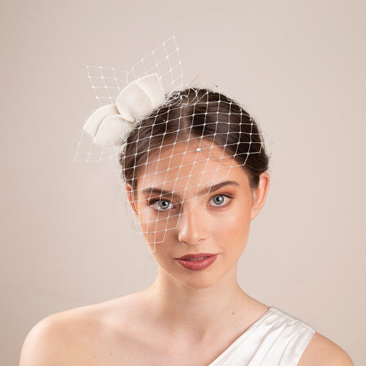 Leaves Felt Fascinator Birdcage Veil: Civil Ceremony Headpiece with petals