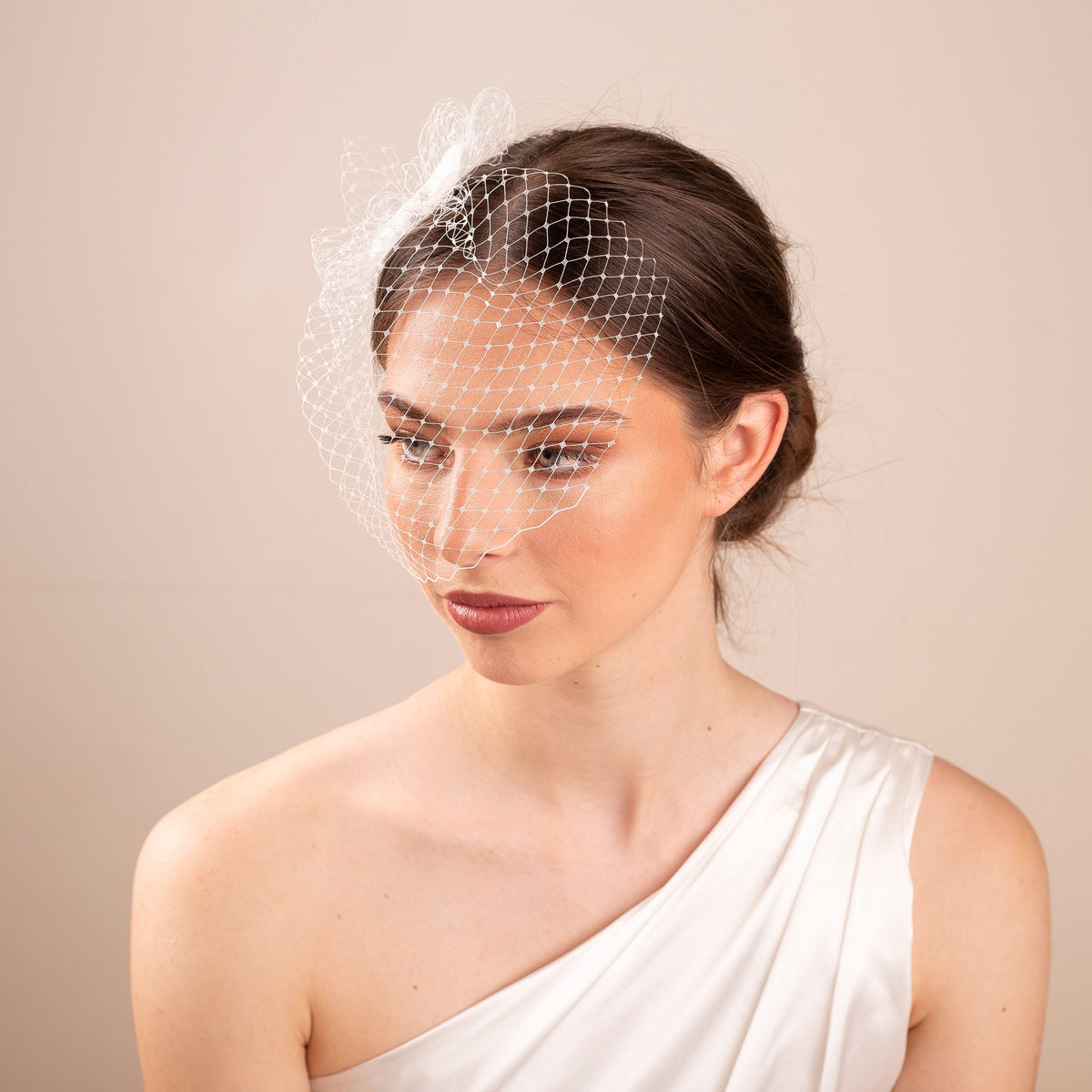Civil Wedding Bow Veil Birdcage Veil with Hair Bow Short Bridal Veil Petite Bow adorned Veil City Hall Wedding Veil