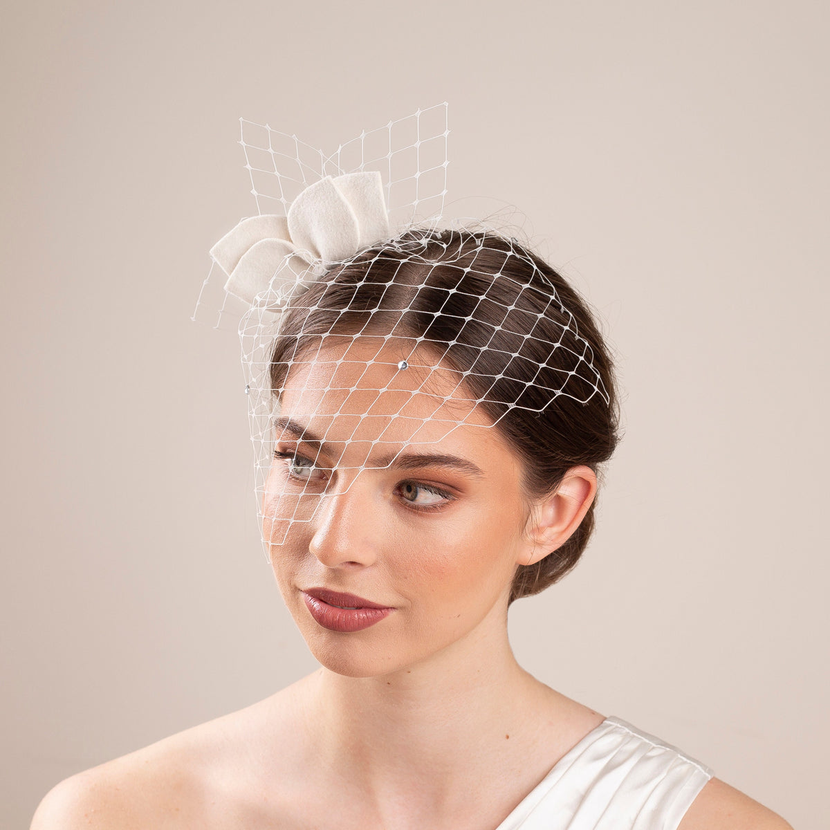 Leaves Felt Fascinator Birdcage Veil: Civil Ceremony Headpiece with petals