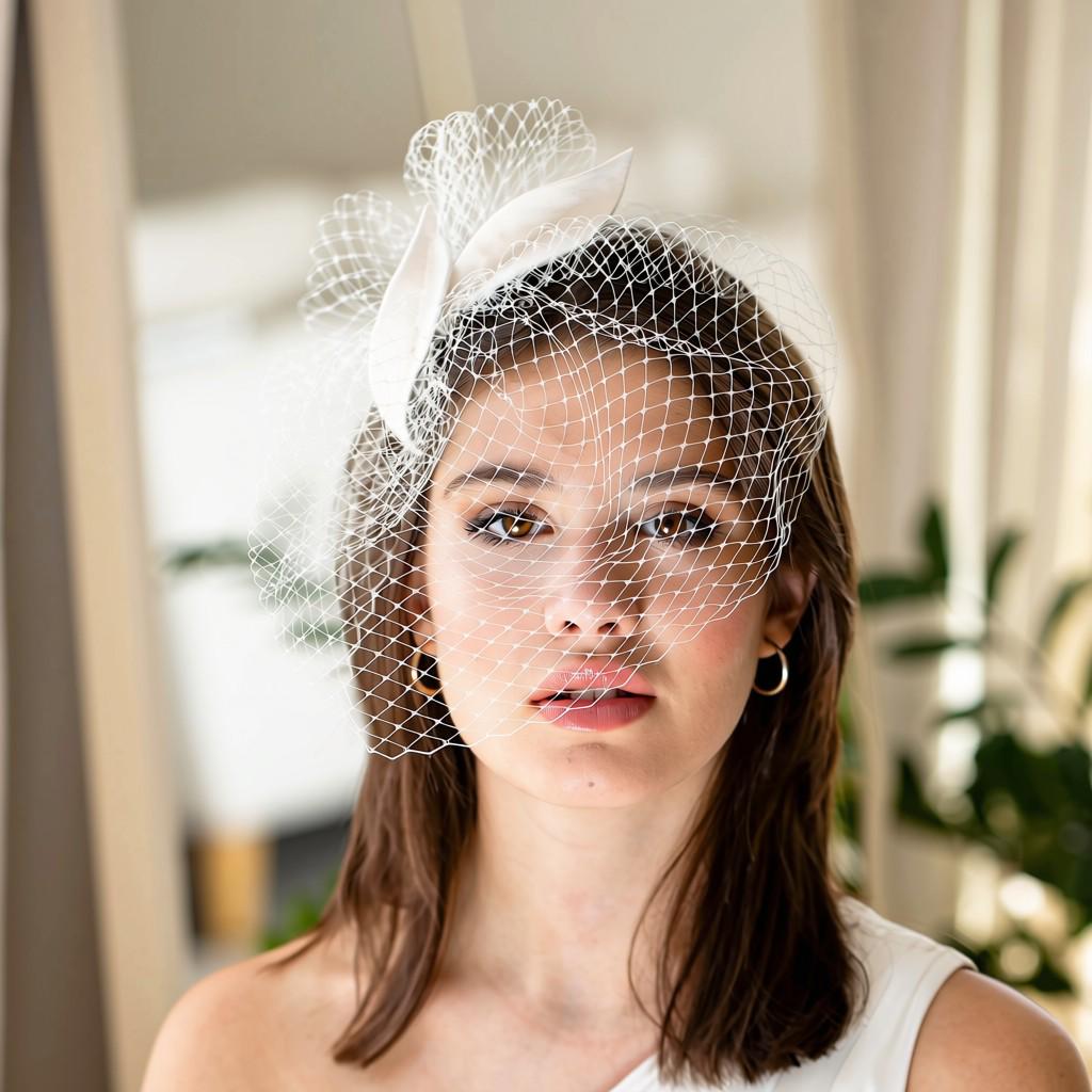 Bridal Birdcage Veil with Leaves Petals on comb – petals Wedding Headpiece with short bridal face veil